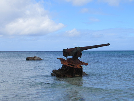 Canon Vestiges from WWII - Maloelap Atoll